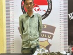 Polres Lebong Kembali Ungkap Kasus Narkotika, Satu Orang Ditangkap