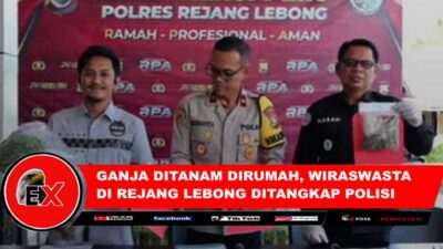 “Pengungkapan kasus ini berawal dari informasi masyarakat yang kami terima melalui Sat Intelkam Polres Rejang Lebong terkait dugaan peredaran dan penanaman ganja di wilayah tersebut,” ujar Iptu Andhika Rizkiawan Ramadhan, Kasat Resnarkoba Polres Rejang Lebong.(Poto dok ist}