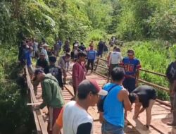 Bukan Sekadar Jembatan! Jembatan Muara 3 Kodim 0409 RL Jadi Urat Nadi Baru Petani Kopi Kepahiang  ‎  ‎