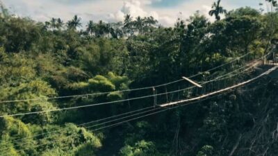 Jembatan ini nyambungin hidup. Nyambungin anak ke sekolah, petani ke kebun, hasil bumi ke pasar. Selama ini, warga Dwi Tunggal, Rimbo Recap, dan desa sekitar terpisah jarak yang dekat tapi rasa jauh. Mau ke seberang harus muter puluhan kilometer atau taruhan nyawa lewat jalur darurat.(Photo dok ist)